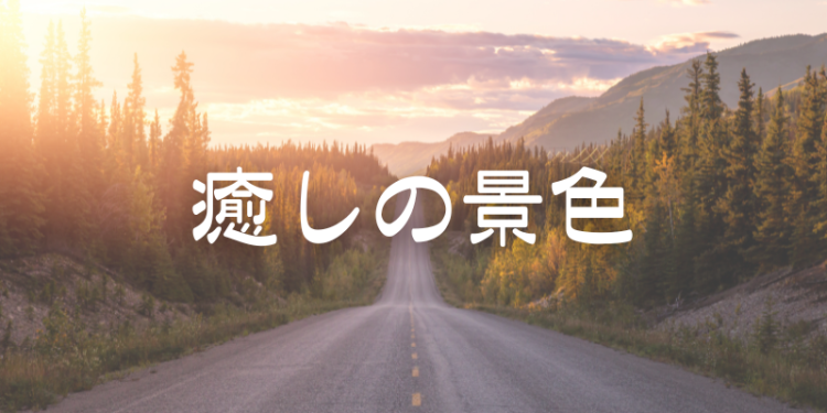 カワイイがいっぱい！ワンダーランド